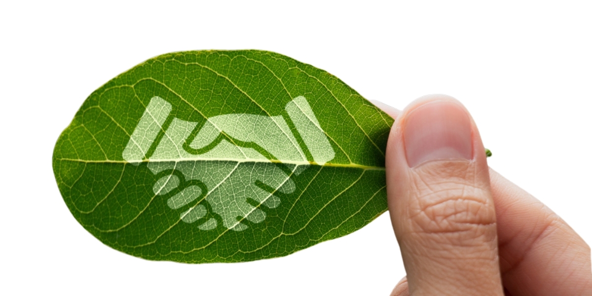 Sustainability